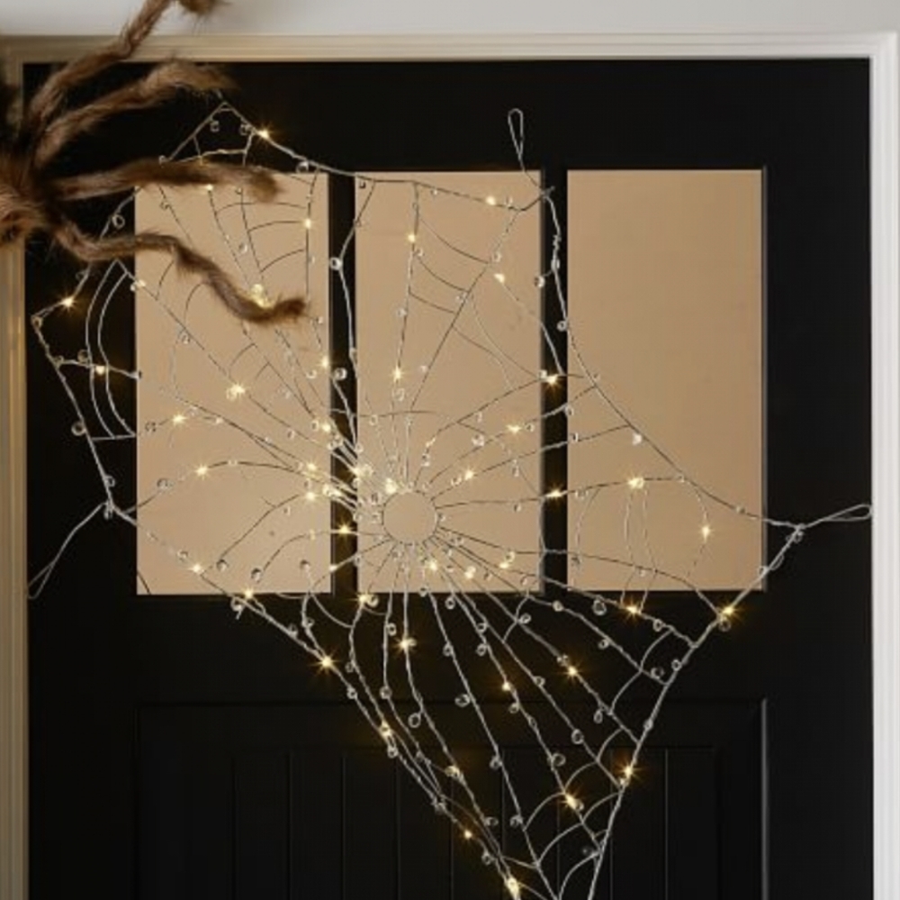 ISO Pottery Barn Lit Crystal Spider Web